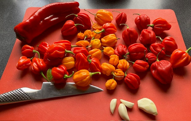 Rød Habanero, Habanero Dulce Suave, hvidløg og Rød snakpeber
